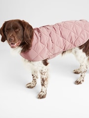 Tog 24 Fido Gefütterter Hundemantel in verblasster Optik - Bild 4 von 5