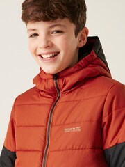 Regatta Red Kids Lofthouse VIII Insulated Jacket - Image 4 of 5