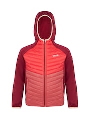 Regatta Red Kids Kielder Hybrid VIII Jacket - Image 5 of 7