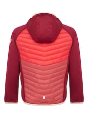 Regatta Red Kids Kielder Hybrid VIII Jacket - Image 6 of 7