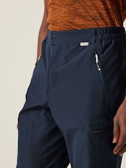 Regatta Blue Mens Highton Winter Walking Trousers - Image 4 of 6