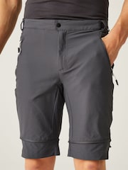 Regatta Grey Mens Mountain Zip Off Walking Trousers - Image 4 of 9