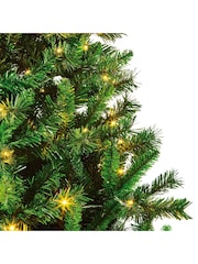 Premier Decorations Ltd 6ft Prelit Arbor Spruce Christmas Tree - Image 3 of 9