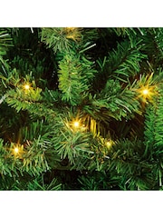 Premier Decorations Ltd 6ft Prelit Arbor Spruce Christmas Tree - Image 4 of 9