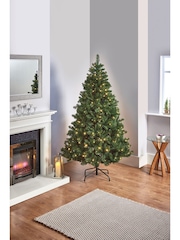 Premier Decorations Ltd Green Pre Lit Oregon Pine Christmas 6ft Tree - Image 1 of 5