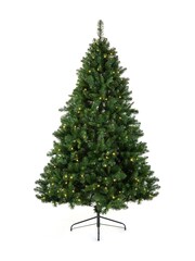 Premier Decorations Ltd Green Pre Lit Oregon Pine Christmas 6ft Tree - Image 2 of 5