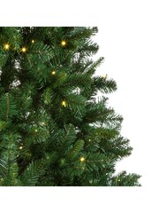 Premier Decorations Ltd Green Pre Lit Oregon Pine Christmas 6ft Tree - Image 3 of 5