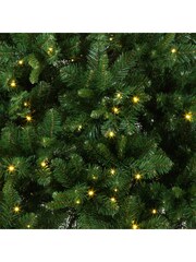 Premier Decorations Ltd Green Pre Lit Oregon Pine Christmas 6ft Tree - Image 4 of 5
