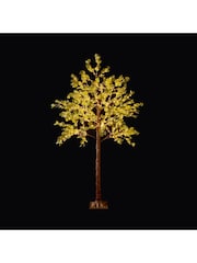 Premier Decorations Ltd 6ft Eucalyptus Christmas Tree with Warm White Lights - Image 1 of 1
