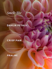 Bath & Body Works Dahlia Fine Fragrance Body Mist 8 fl oz / 236 mL - Image 2 of 2