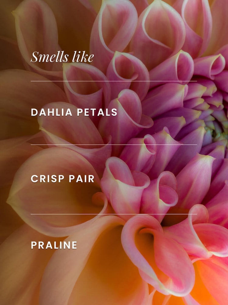 Bath & Body Works Dahlia Fine Fragrance Body Mist 8 fl oz / 236 mL - Image 2 of 2