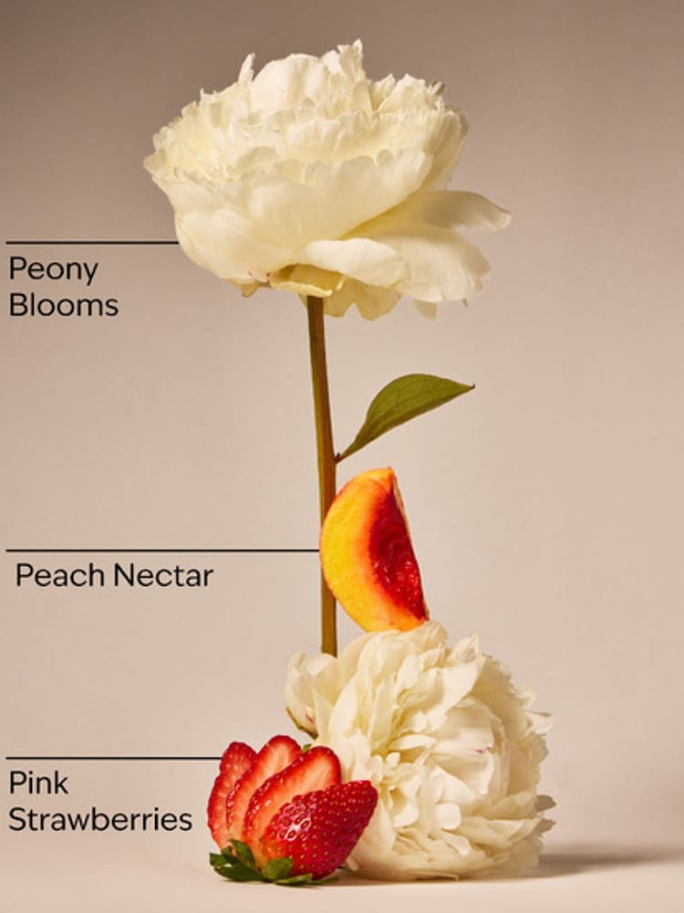 Bath & Body Works Body Cream 226g - Image 2 of 2 Bath & Body Works Body Cream 226g - Image 2 of 2