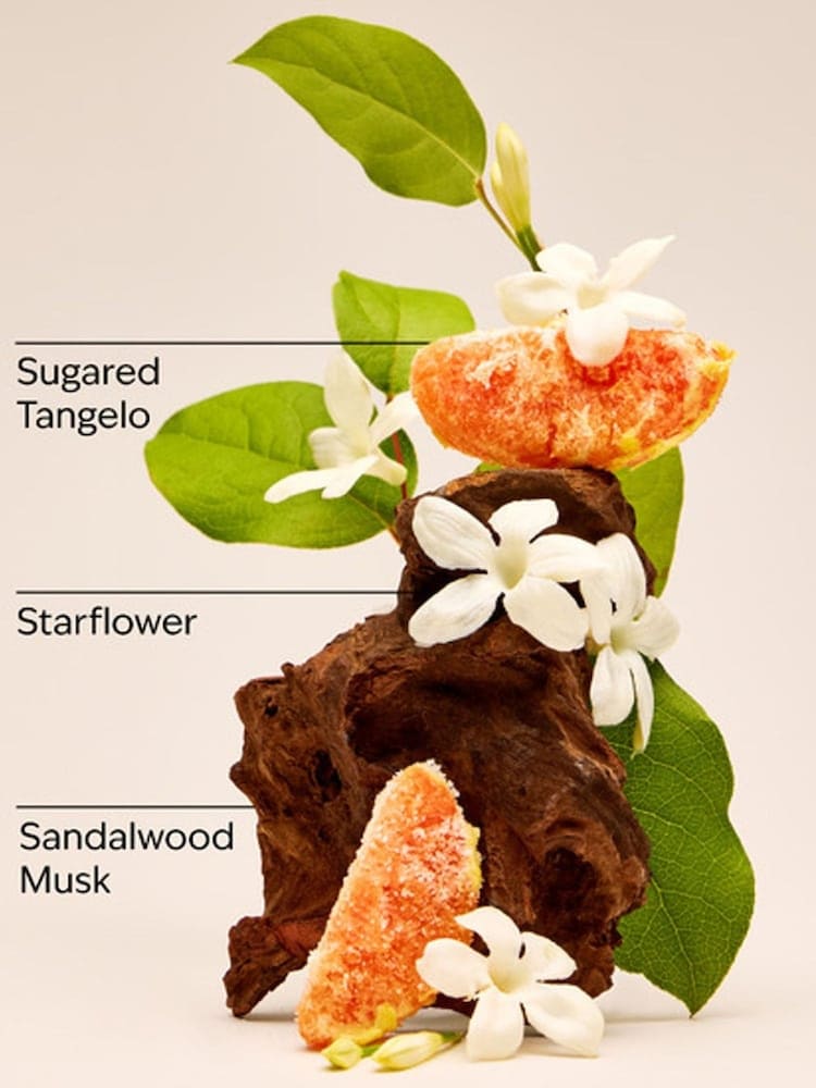 Bath & Body Works In The Stars Body Butter 185 G - Image 3 of 3