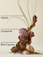 Bath & Body Works Ocean Cleansing Bar 141 g - Image 3 of 3