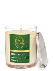 Bath & Body Works Eucalyptus Spearmint Single Wick Candle 8 oz / 227 g - Image 1 of 1