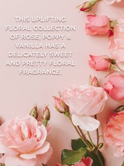 Baylis & Harding Royale Garden Rose, Poppy  Vanilla Luxury Pamper Keepsake Tin Gift Set - Image 3 of 5