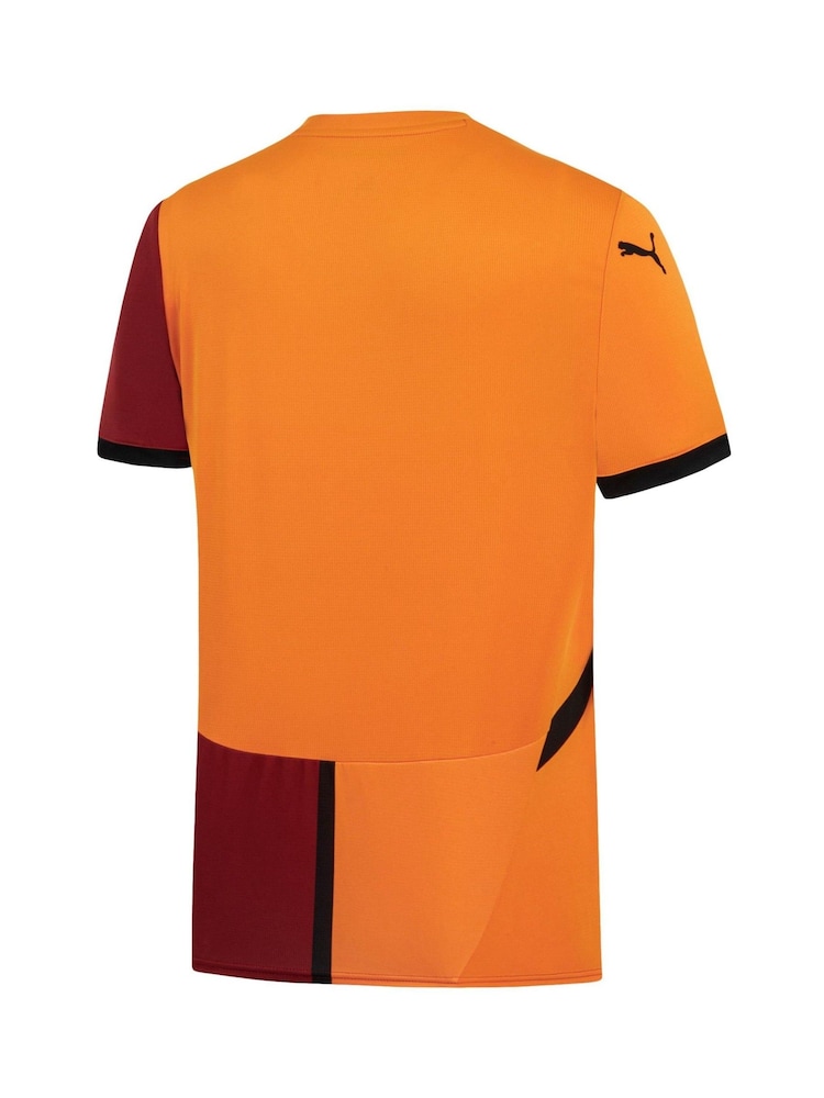 Puma Galatasaray Ev Forması 24-25 - Image 3 of 3