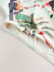 Blue/Cream Stripe Palm Tummy Control High Leg Scoop Swimsuit - Image 9 of 9