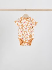 Cream/Brown Baby Short Sleeve 100% Cotton Bodysuits 5 Pack - Image 5 of 12