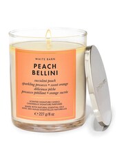 Bath & Body Works Peach Bellini Peach Bellini Signature Single Wick Candle 8 oz / 227 g - Image 1 of 1