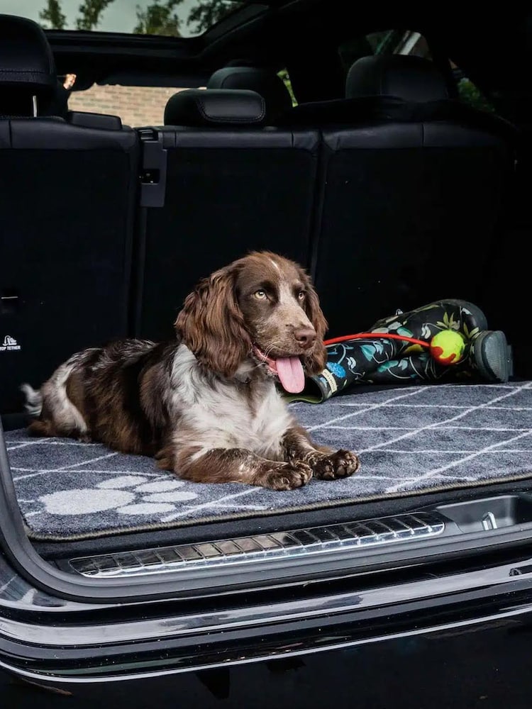 Pet Rebellion Grey Large Stop Muddy Paws Absorbent Machine Washable Homecar Rug Cover - Image 1 of 1 Pet Rebellion Grey Large Stop Muddy Paws Absorbent Machine Washable Homecar Rug Cover - Image 1 of 1
