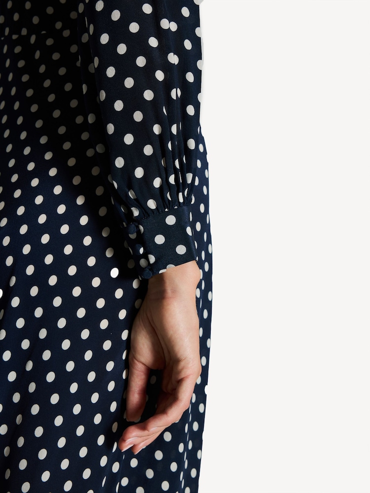 Rixo Blue Emory Polka Dot Maxi Dress - Image 5 of 5