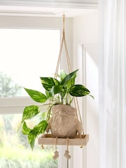 Natural Gonk Character Hanging Planter - Image 1 of 6