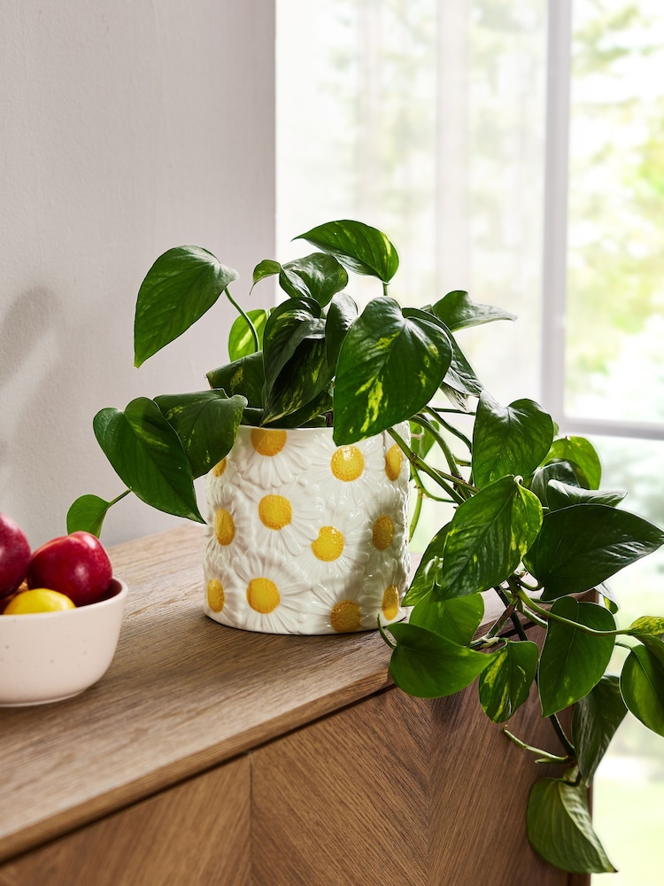 Yellow/White Ceramic Daisy Planter - Image 1 of 4