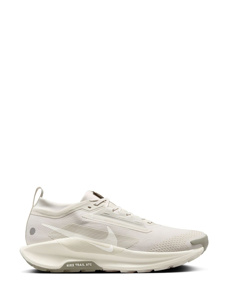 Nike Grey Pegasus Trail 5 GORETEX Running Trainers - Image 1 of 12