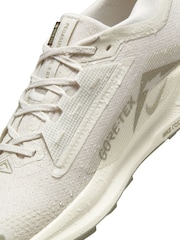Nike Grey Pegasus Trail 5 GORETEX Running Trainers - Image 10 of 12