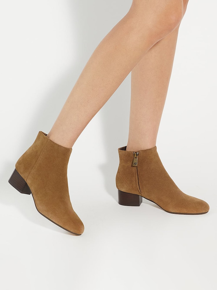 Dune London Brown Perrie Low Block Heel Ankle Boots - Image 1 of 5