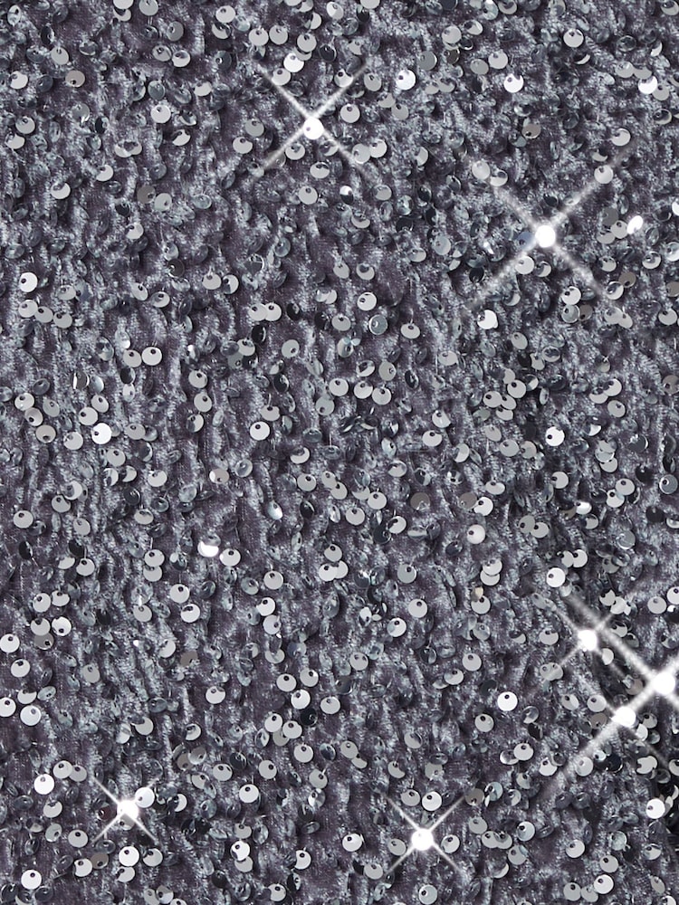 Threadbare Silver Sequin Velour Drop Shoulder Top - Image 6 of 6