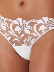 Bluebella Leonora Briefs - Image 4 of 5