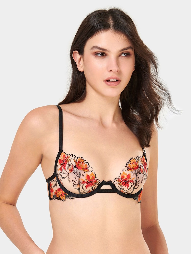 Bluebella Calista Plunge Underwired Floral Embroidered Bra - Image 1 of 5