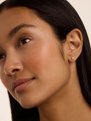 Ted Baker Pink Tone Sinee Mini Crystal Stud Earrings - Image 3 of 4