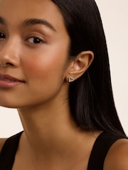 Ted Baker Silver Tone Amorina Crystal Halo Heart Stud Earrings - Image 3 of 4