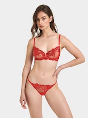 Bluebella Marseille Embroidered Mesh Knickers - Image 1 of 5