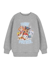 Vanilla Underground Grey Boys 100% Cotton Paw Patrol Licensed T-Shirt - Image 1 of 6