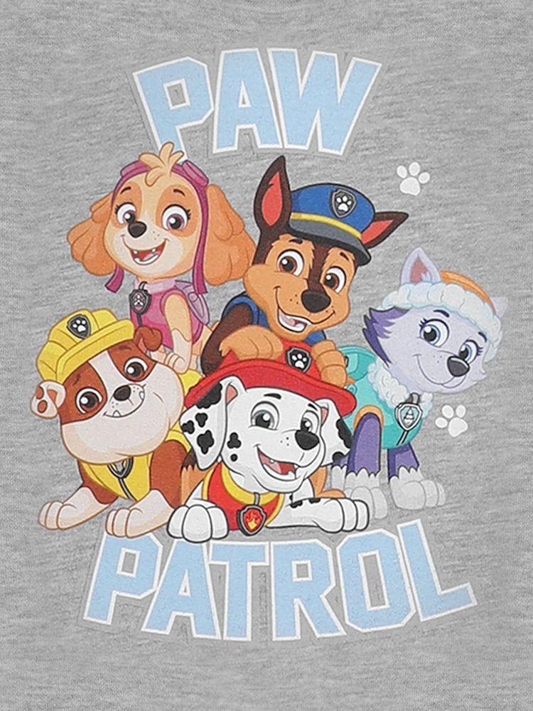 Vanilla Underground Grey Boys 100% Cotton Paw Patrol Licensed T-Shirt - Image 6 of 6