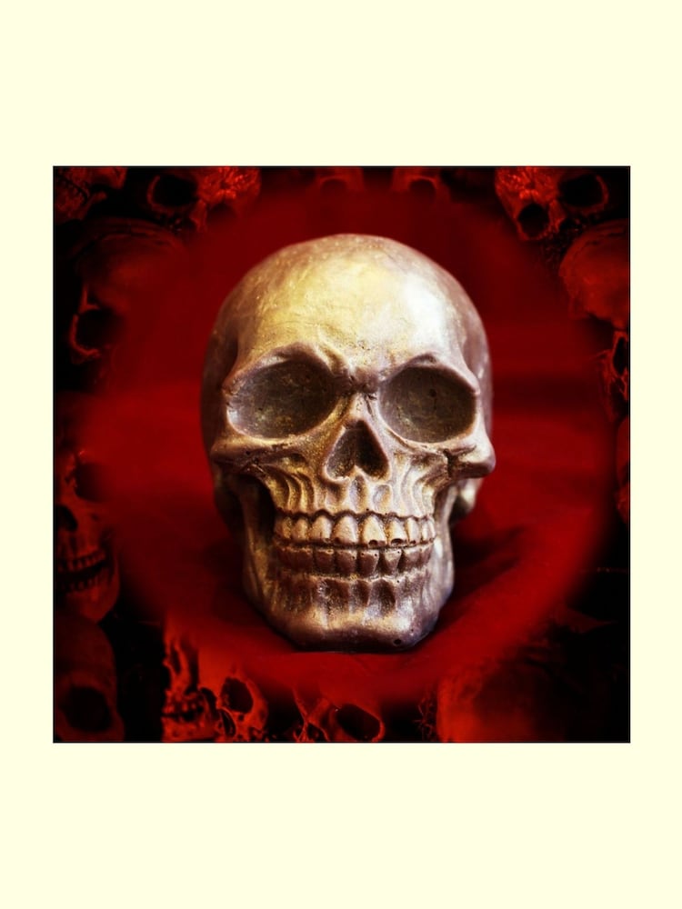 Choc on Choc Gaint Chocolate Skull - Image 2 of 2