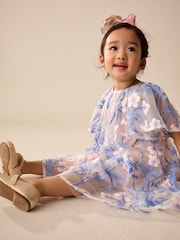 Pink/Blue Embroidered Mesh Dress (3mths-8yrs) - Image 1 of 4