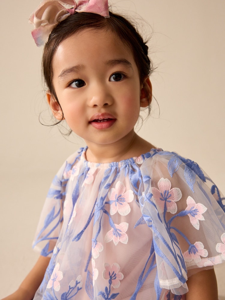 Pink/Blue Embroidered Mesh Dress (3mths-8yrs) - Image 4 of 4