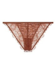 Love Stories Brown Wild Rose Comfortable Lace Briefs - Image 4 of 4