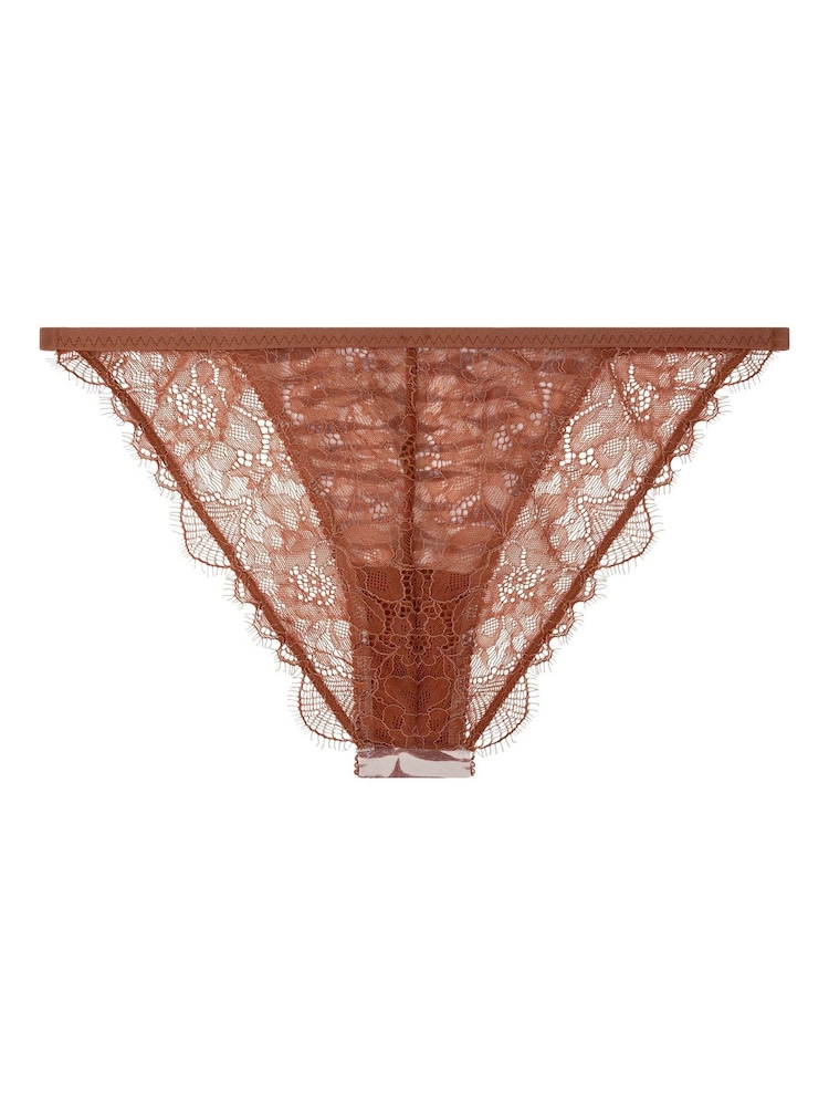 Love Stories Brown Wild Rose Comfortable Lace Briefs - Image 4 of 4