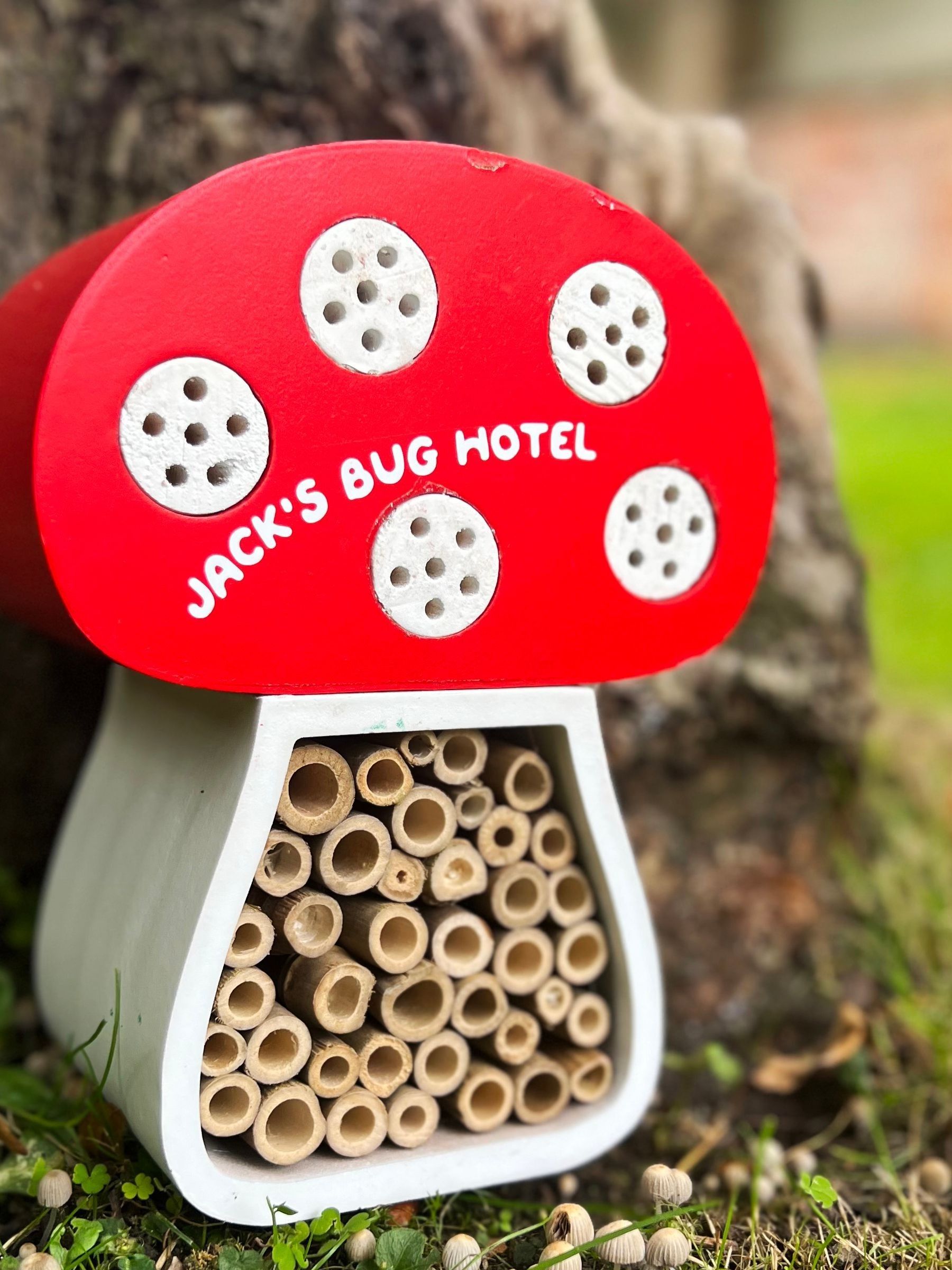 Red Personalised Garden Toa Bug Hotel by Solesmith