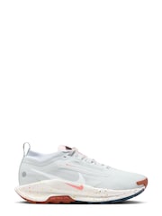 Nike Light Grey Pegasus 5 GORE-TEX Waterproof Trail Running Trainers - Image 1 of 12