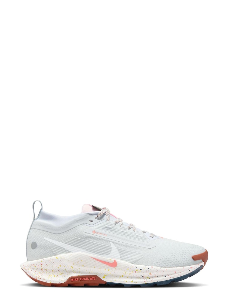 Nike Light Grey Pegasus 5 GORE-TEX Waterproof Trail Running Trainers - Image 1 of 12