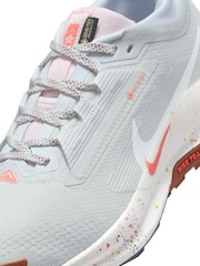 Nike Light Grey Pegasus 5 GORE-TEX Waterproof Trail Running Trainers - Image 11 of 12