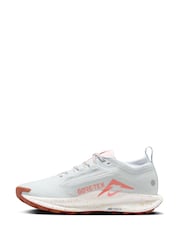 Nike Light Grey Pegasus 5 GORE-TEX Waterproof Trail Running Trainers - Image 12 of 12