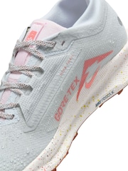 Nike Light Grey Pegasus 5 GORE-TEX Waterproof Trail Running Trainers - Image 2 of 12